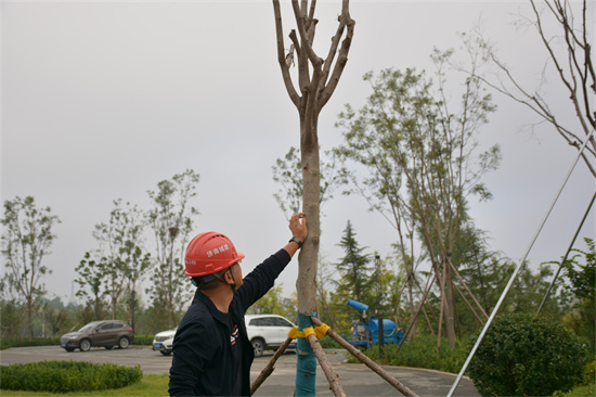 ���g22��(�й���)���¹ٷ���վ