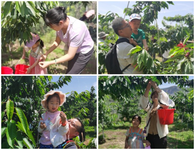 ºã·åg22¡¤(ÖйúÓÎ)×îйٷ½ÍøÕ¾