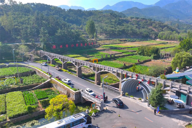 ���g22��(�й���)���¹ٷ���վ