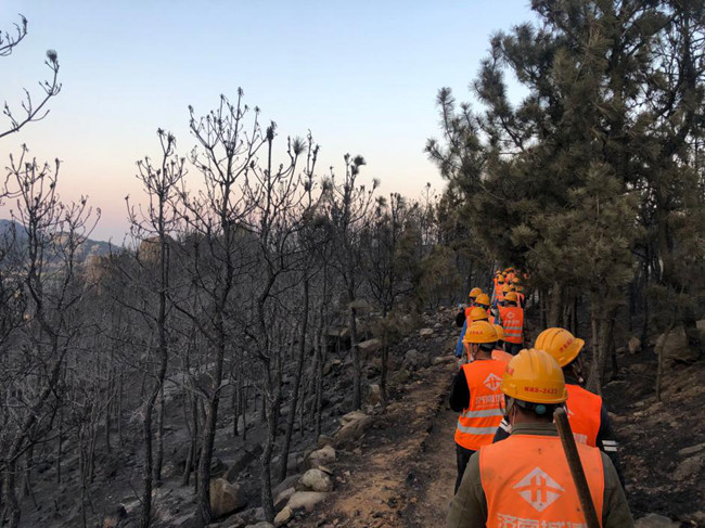 ���g22��(�й���)���¹ٷ���վ