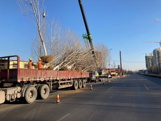 ���g22��(�й���)���¹ٷ���վ