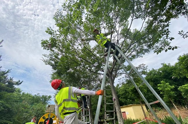 ���g22��(�й���)���¹ٷ���վ